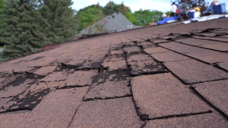 Best Roof Insulation Installation  in Perry Heights, OH